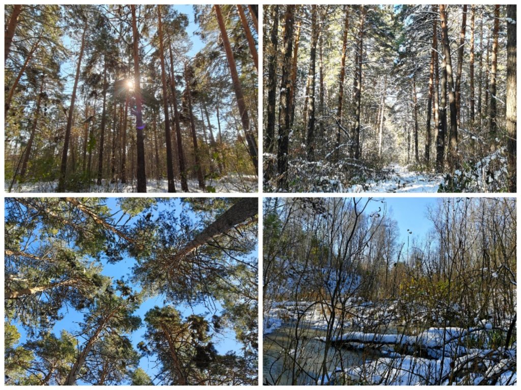 Краса в октябре 2025г.