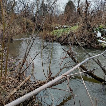 Ноябрь. "В дебрях речки Издревая".