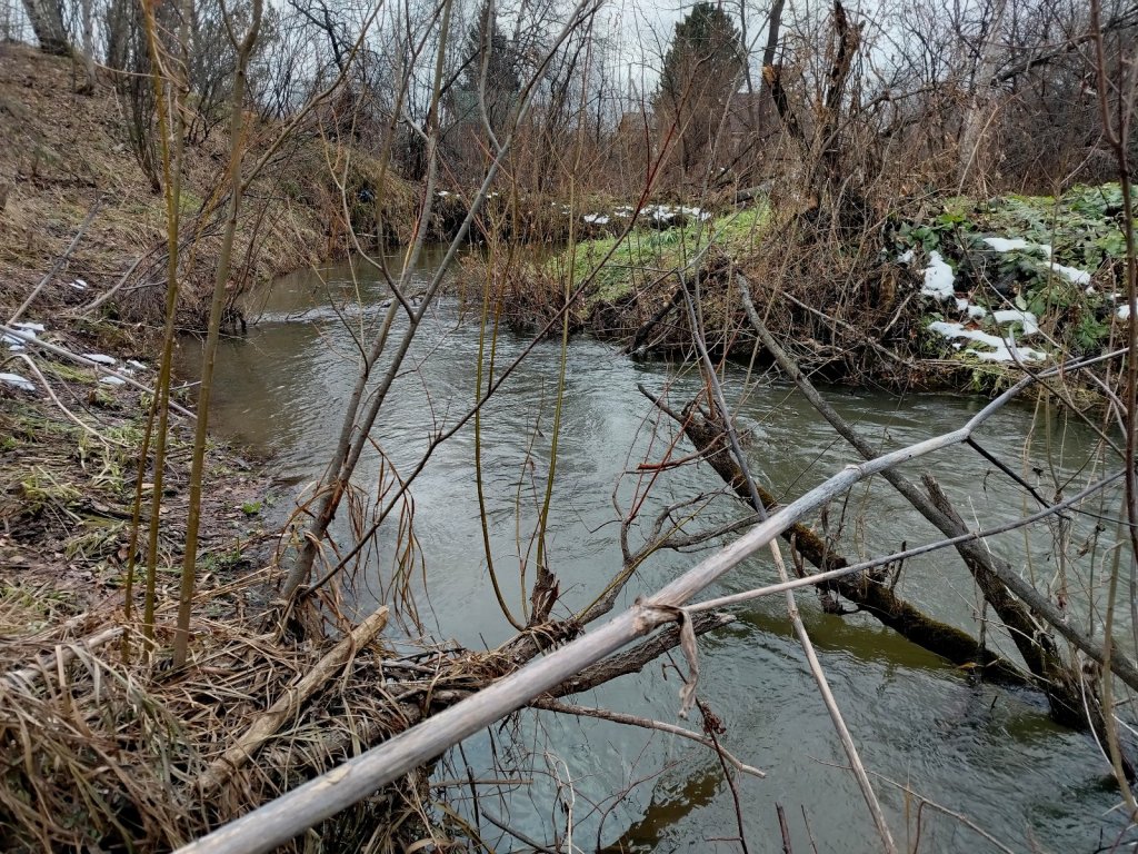 Ноябрь. "В дебрях речки Издревая".