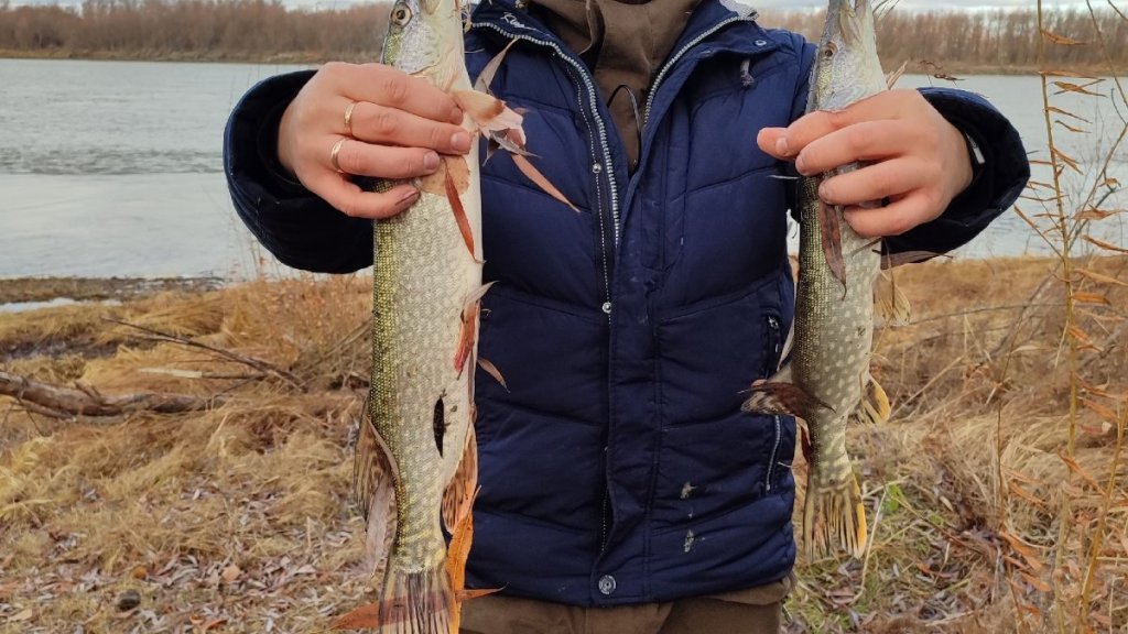 Закрытие сезона-2025: ноябрьская щука на Иртыше!