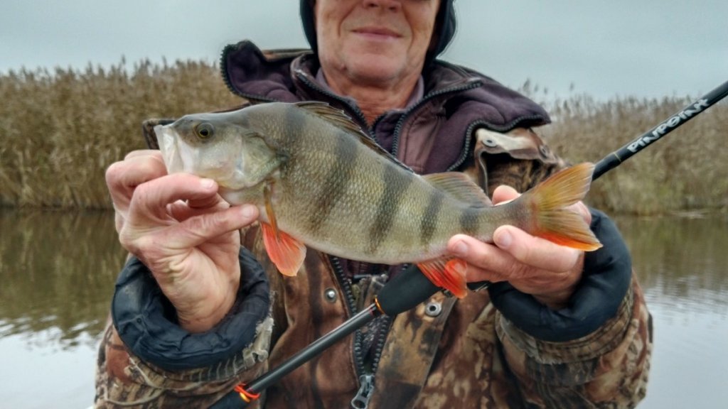 Дай Бог, не последняя