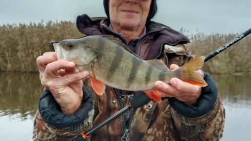 Дай Бог, не последняя