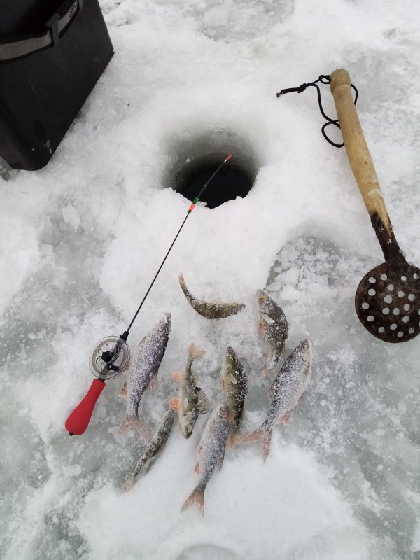 р. Карасук. Такой улов.