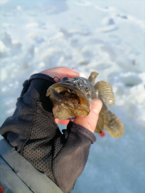 Симпатичный парень.