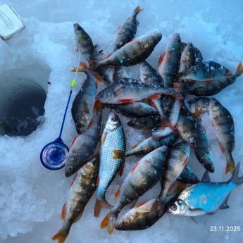 В метель на Уень. Там потише...