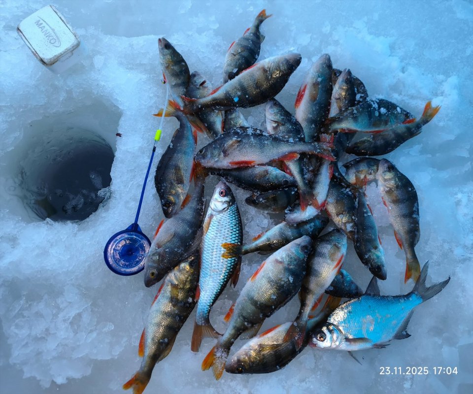 В метель на Уень. Там потише...