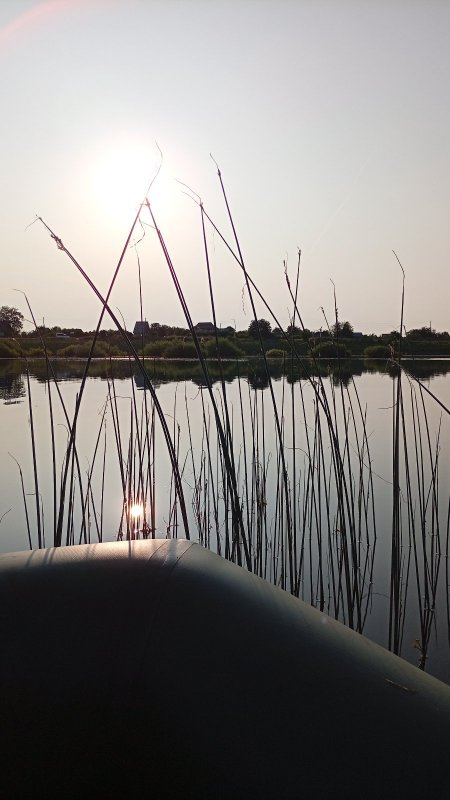 Уголок рая. Камень-на-Оби, дача.