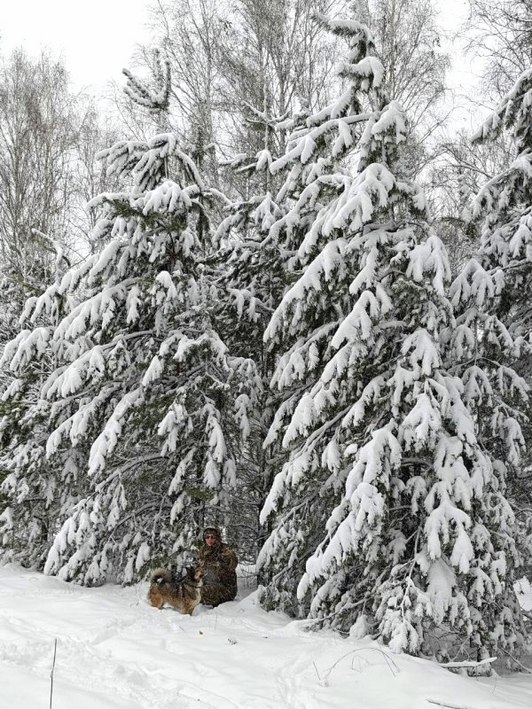 Закружило, замело, завьюжило.