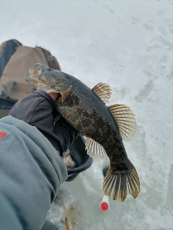 Были и такие, и крупнее.
