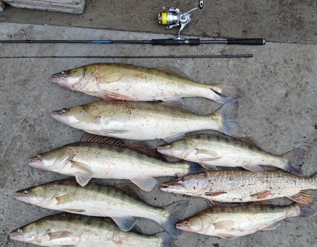 Камень закрытие