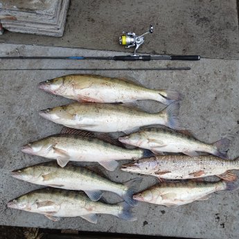 Камень закрытие