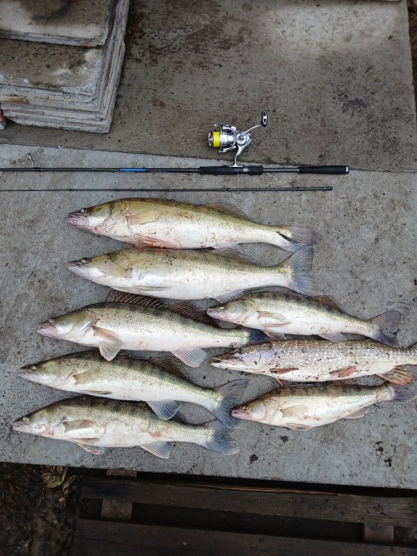 Камень закрытие