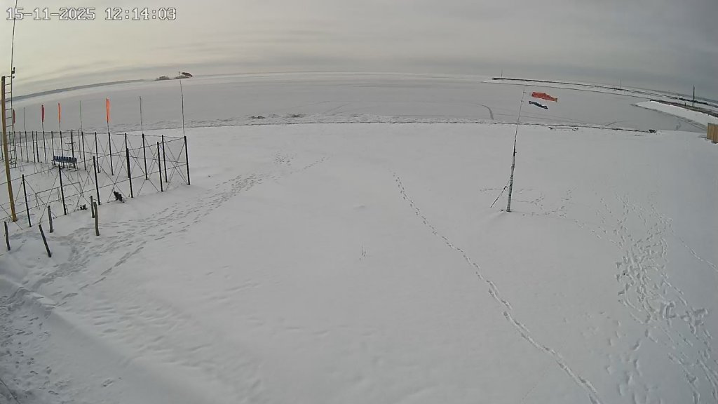 Звезда сегодня окончательно замерзла