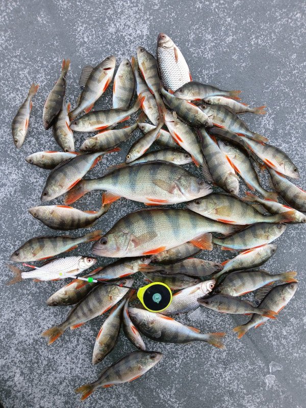 Камень, карьер.