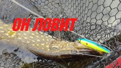 Рыбалка на воблер осенью!!! Кислотный цвет снова в моде, он ловит