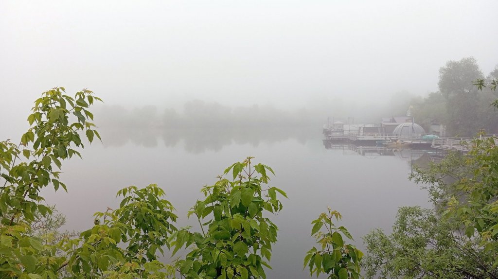 Утром иду на водоём. Туман предвещающий.