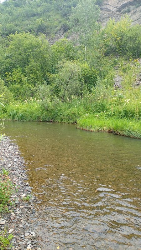 Вспоминая лето