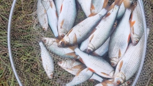 Глухое. Закрытие.