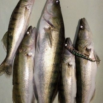 Ещё не Закрытие. Выход под утро.