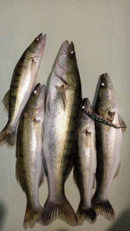 Ещё не Закрытие. Выход под утро.