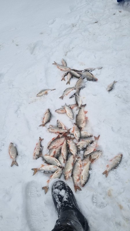 Вот теперь возможно - закрылся.