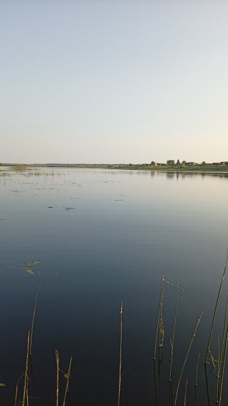 Уголок рая. Камень-на-Оби, дача