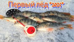 Поймал окуней. Открыл первый лёд.