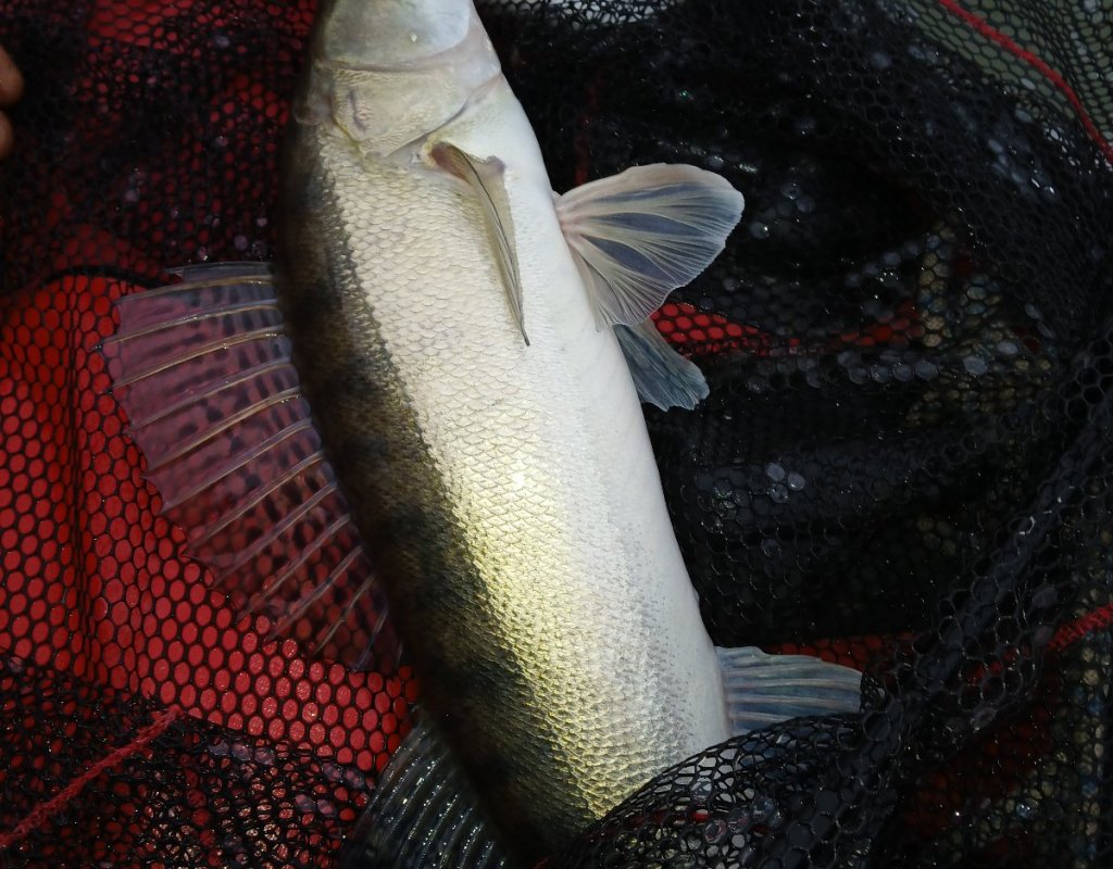 Камень закрытие