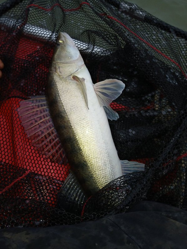 Камень закрытие