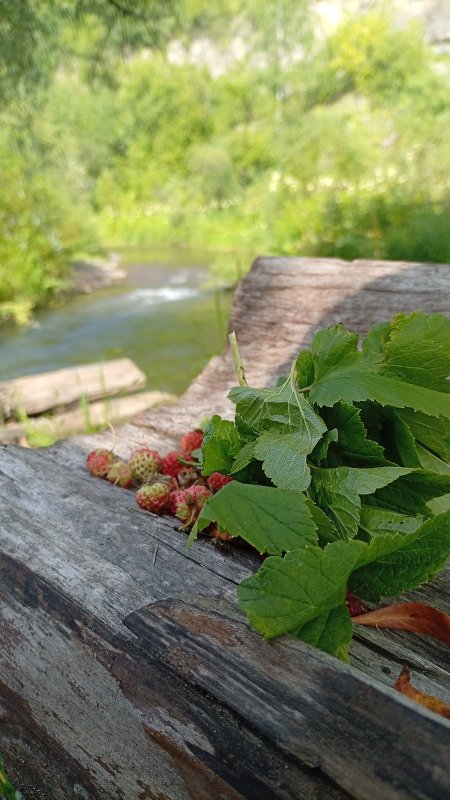 Вспоминая лето