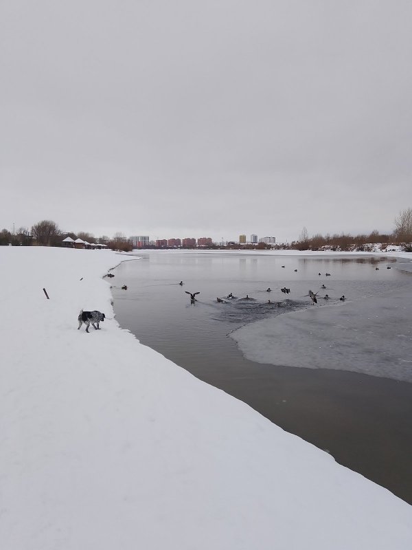 Ю/з - первый лед.