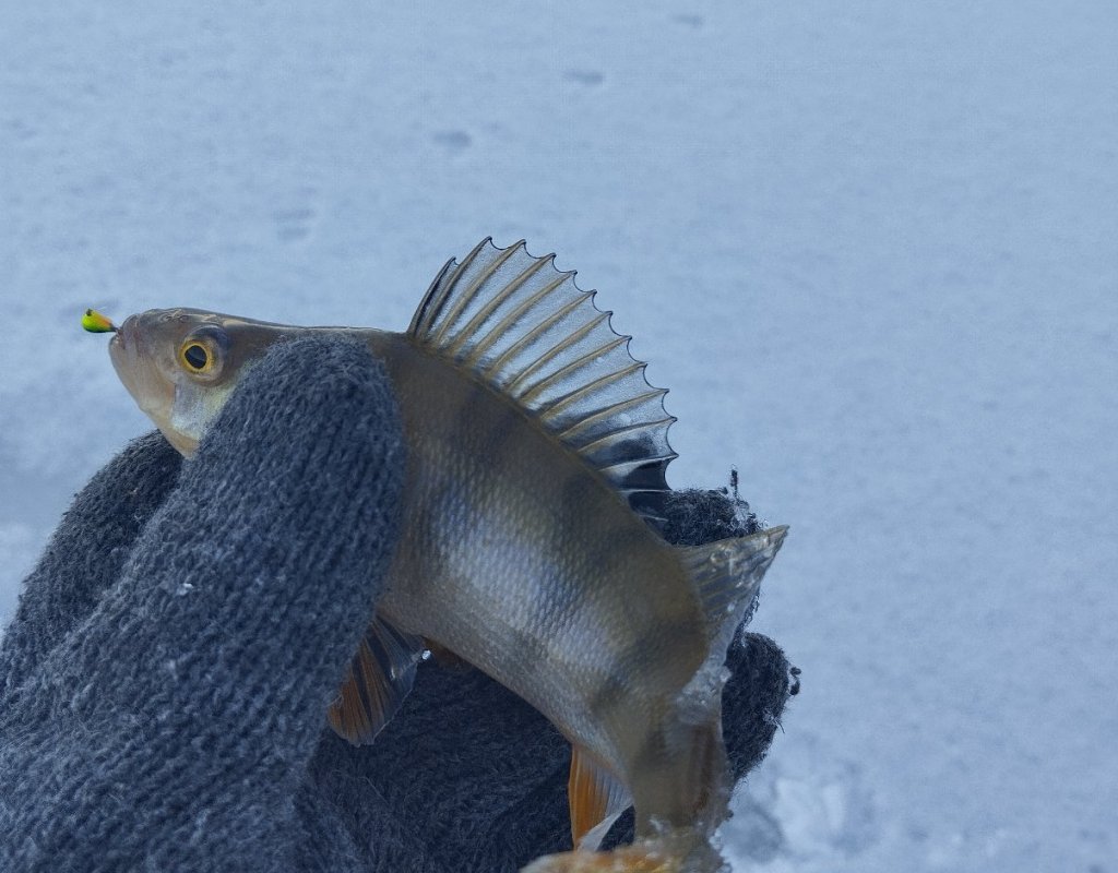 Спонтанное открытие!..