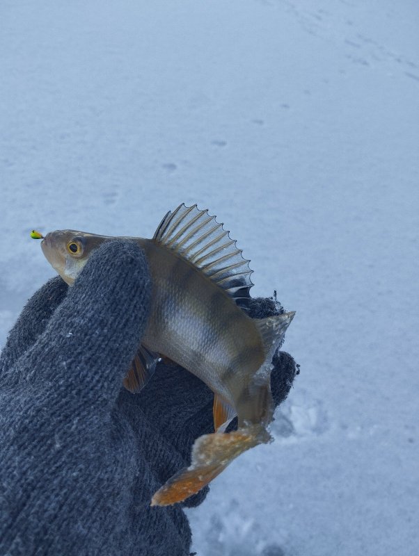 Спонтанное открытие!..