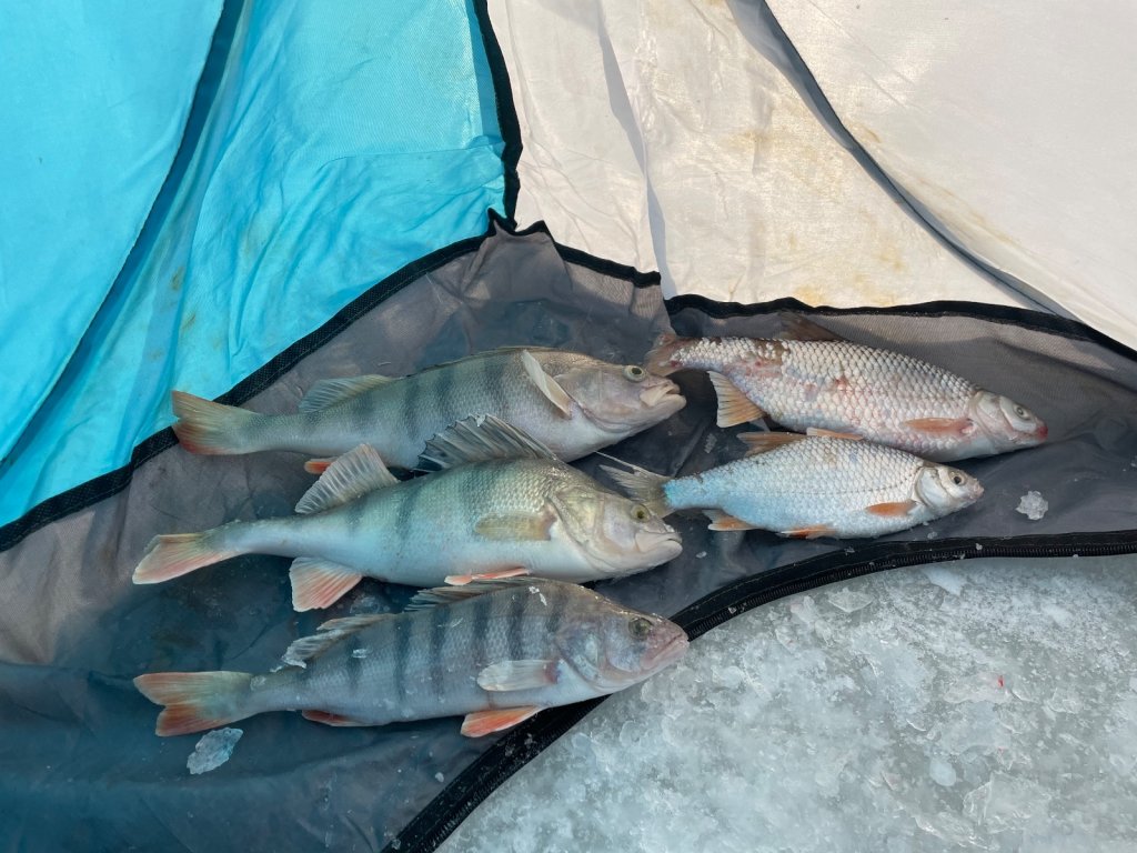 У Тань-Ваня пока скромно