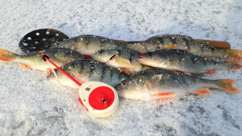 Б З выдал на Открытие льда!