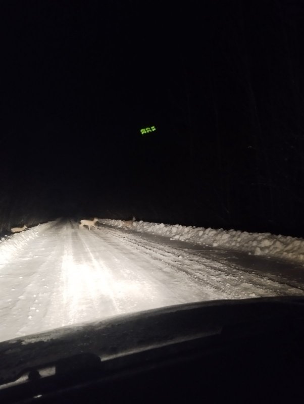 (Э) Миграция!..