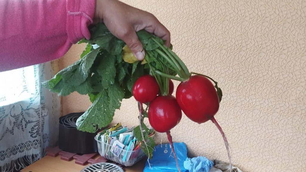 "Воспоминания на тему! "