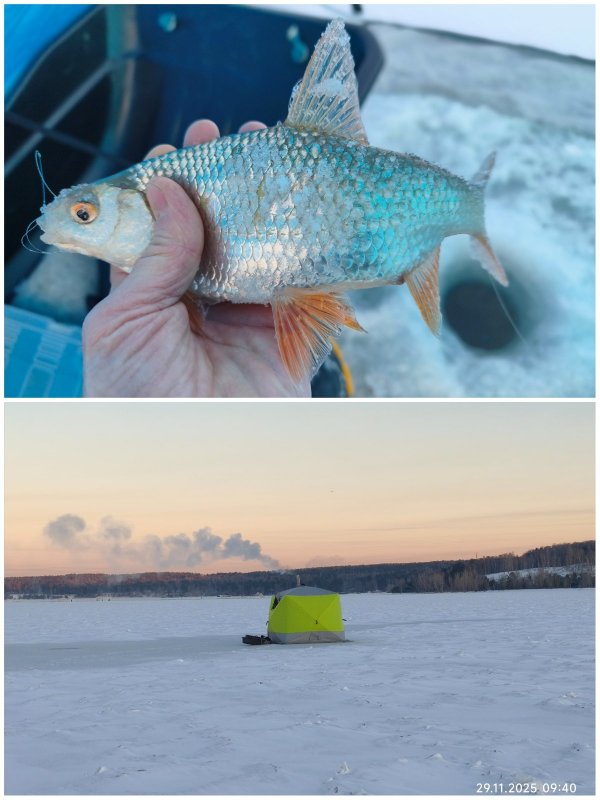 ОП Береговая