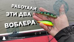 Работали эти два воблера! Осенняя рыбалка на щуку- проверенные приманки