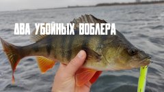 Как ловить щуку на мелководье осенью: Показываю 2 убойных воблера + секреты проводки