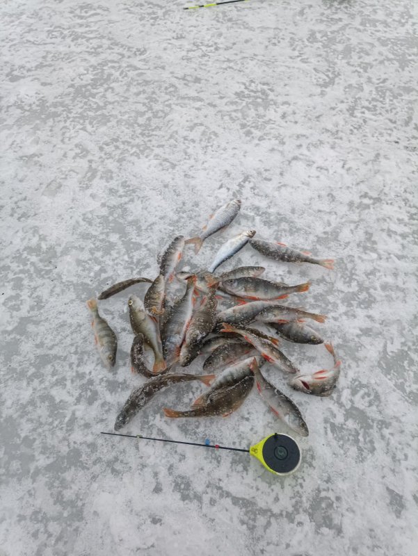 Открытие в черте города.