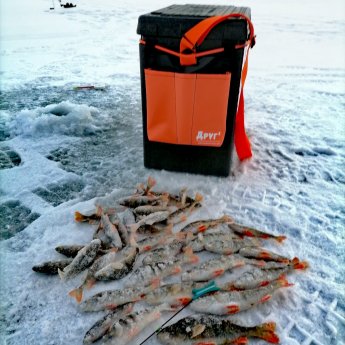 22.11.2025 Бердский залив