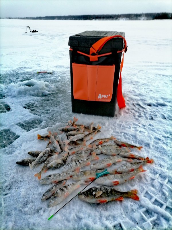 22.11.2025 Бердский залив