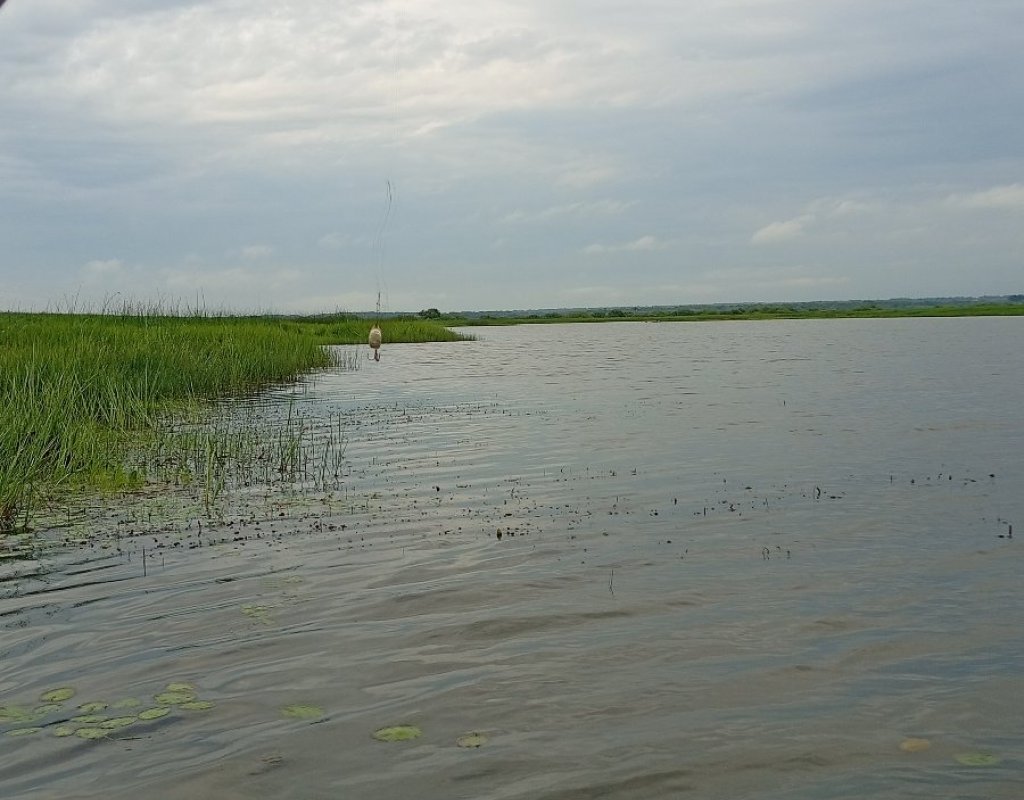 Уголок рая. Камень-на-Оби, дача