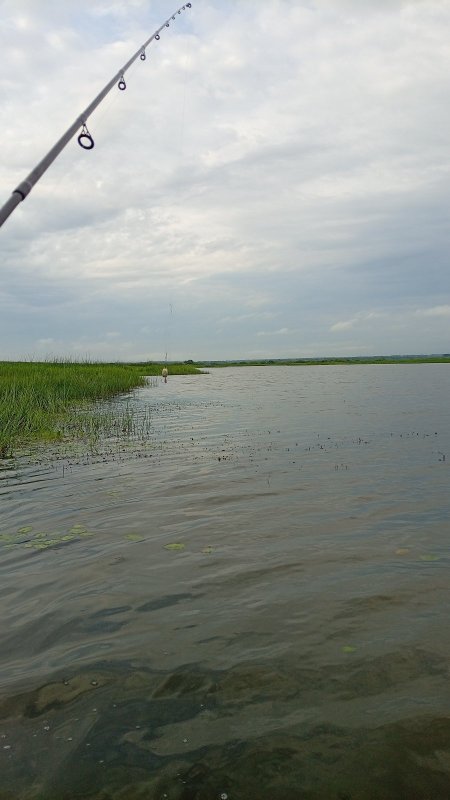 Уголок рая. Камень-на-Оби, дача