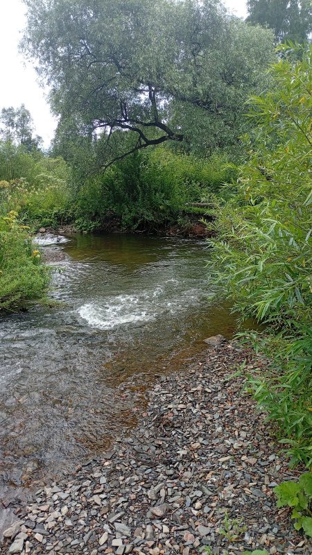 Вспоминая лето