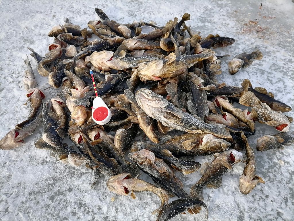 Чуть-чуть наковырял.