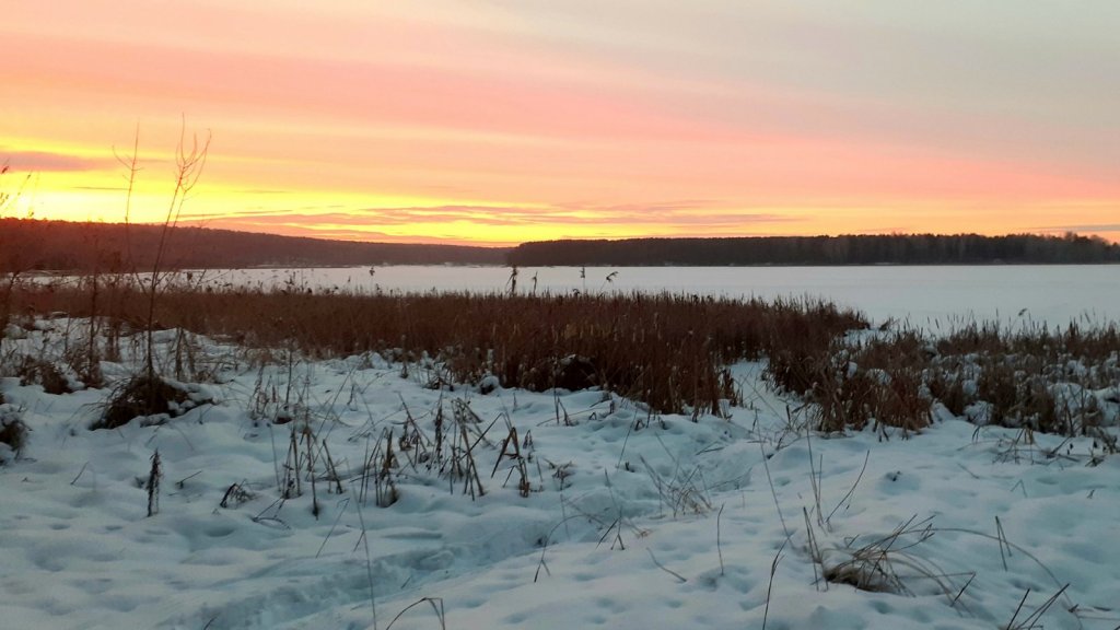 Бердский Залив встречает рассветом....