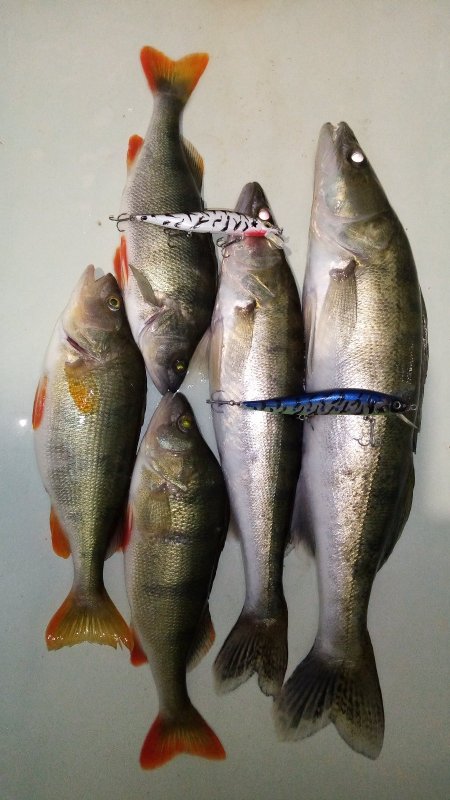 Летнее. Похоже закрытие.