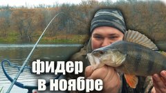 Рыбалка на фидер поздней осенью 2025. Что можно поймать в Ноябре? В шоке от улова.